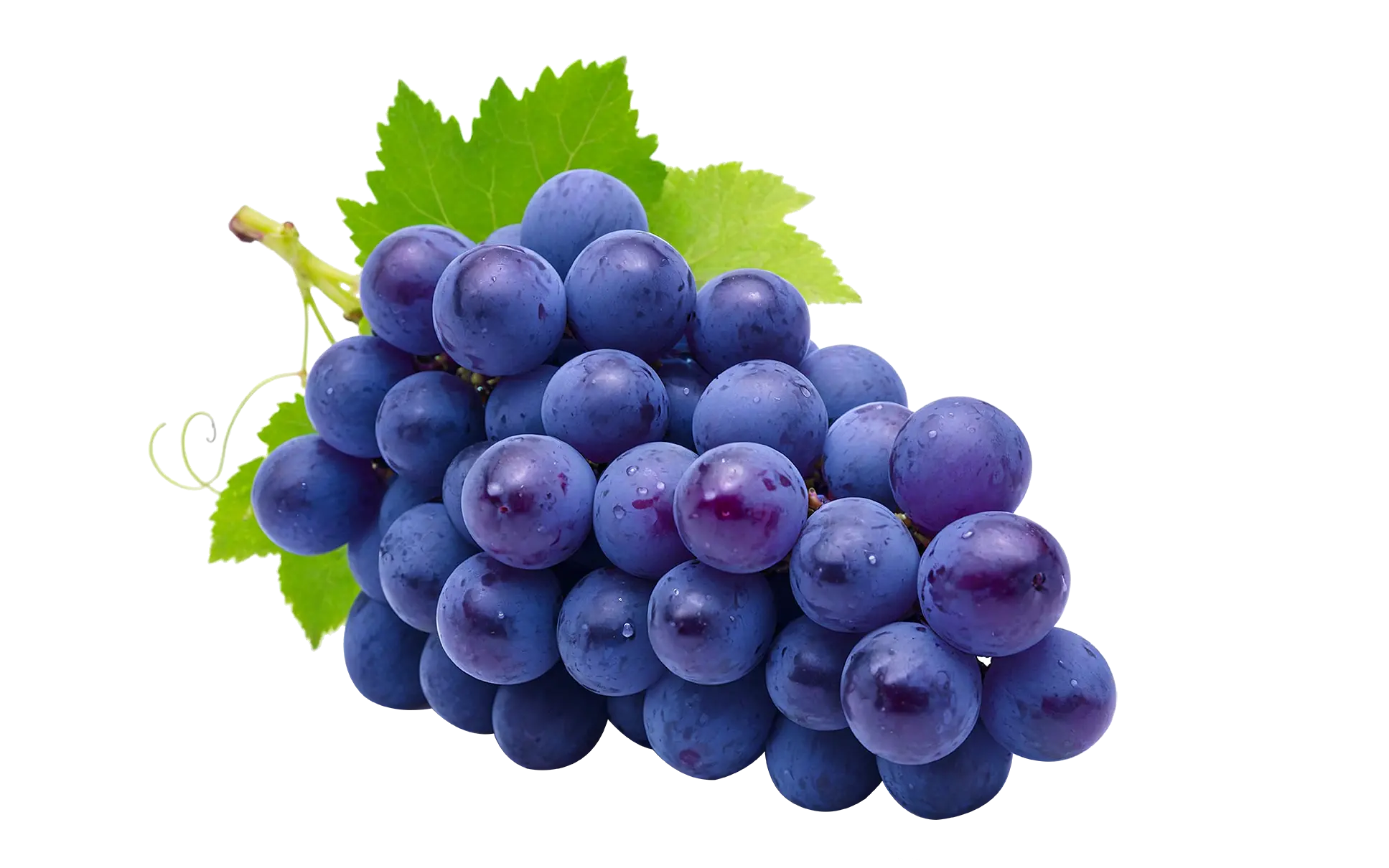 Featured winery of the week